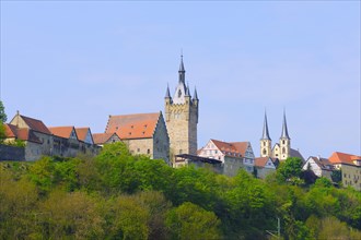 Cityscape from Bad Wimpfen