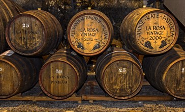 Personalized port wine barrels in a wine cellar