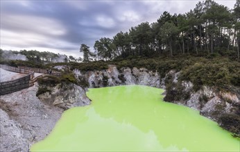 Green Devil's Bath thermal lake in Wai-O-Tapu thermal area
