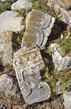 Ancient pieces of wall with relief