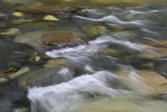 Water flows over stones