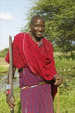 Male Maasai in traditional Shuka clothing with spear