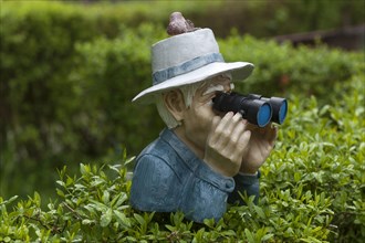 Human figure with hat and binoculars looking over a hedge
