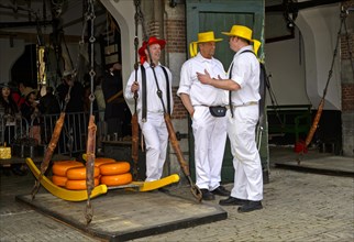 Cheese wheels being weighed