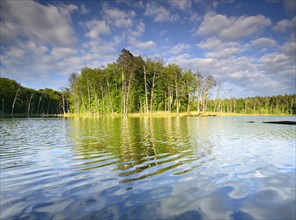 Schweingartensee