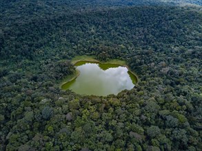 Lac Vert in the jungle