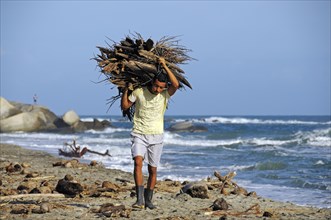Man carrying wood bundle on beach
