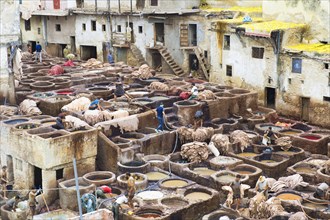 Tannery