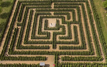 Maze with hedges