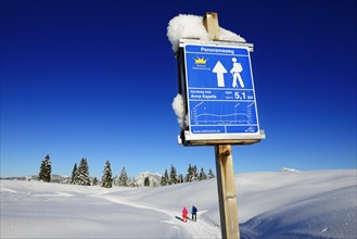 Panorama trail signpost