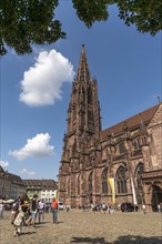 Freiburg Munster