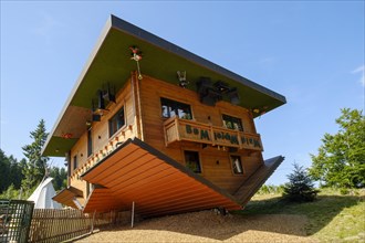 Haus am Kopf at the Waldwipfelweg