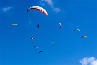 Many paragliders are flying in the air