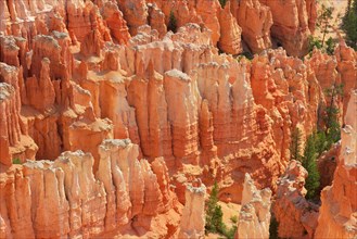 Red eroded limestone columns