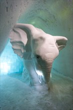 Elephant made of ice