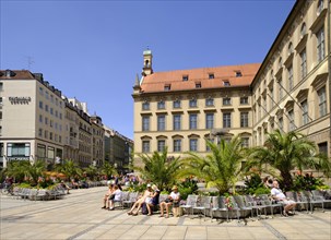 Palms in pedestrian zone