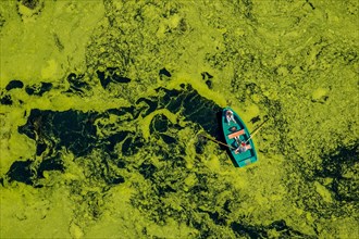 Aerial view of rowboat traveling through water weed