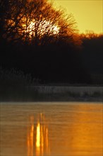 Sunrise over Leiner Lake in winter