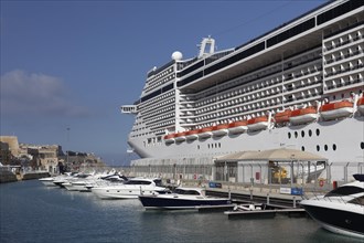 Cruise ship MSC Splendida at the Quai