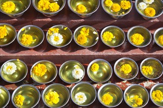 Bowls with saffron water and flowers