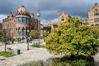 Historic hospital complex Hospital de Sant Pau