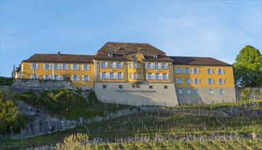 State Winery Meersburg