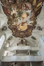 Organ gallery and ceiling frescos