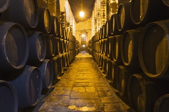 Stacked oak barrels in the wine cellar
