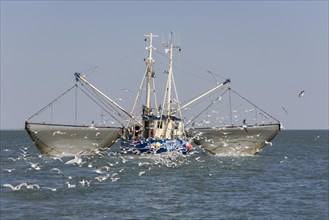 Fishcutter with casted nets at crabs catching