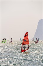 Many windsurfers with colourful sails