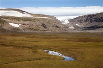 Glacier Drangajokull