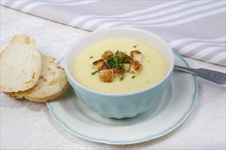 Cheese soup with herb croutons