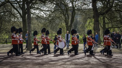 Guardsmen of the Queen's Guard