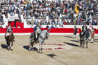 Bullfight in Alcochete