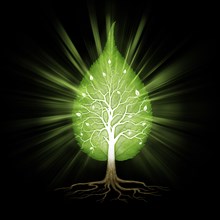 Green leaf shaped tree with branches and roots