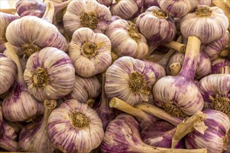Fresh garlic for sale on a market stall