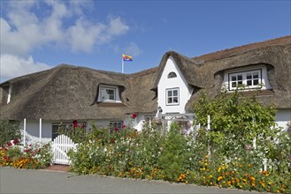 Thatched-roof house with summer flowers