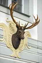 Sculpture of deer head with antlers