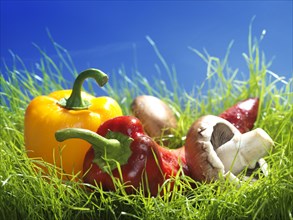 Sweet peppers and mushrooms in green grass under blue sky