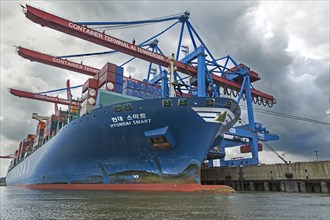 Container ship Hyundai Smart