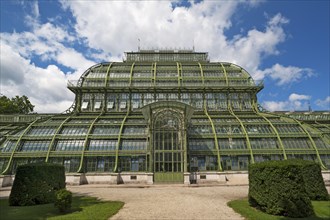 Palm House