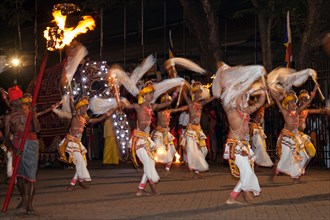 Dance troupe