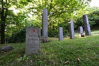 Partisan cemetery near Vrhovlje