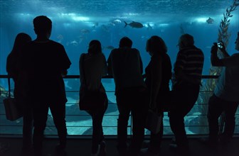 People inside Lisbon Oceanarium