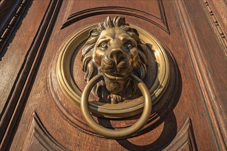 Lion's head as door knocker on old wooden door