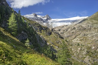 Mountain landscape with glacier Schlatenkees