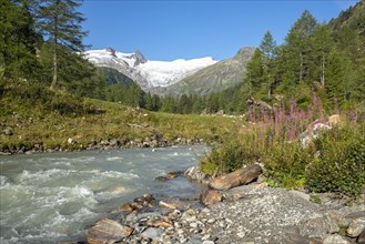 Glacial stream