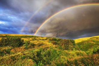 Double rainbow over bushy landscape