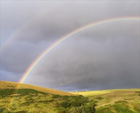 Double rainbow over meadow landscape