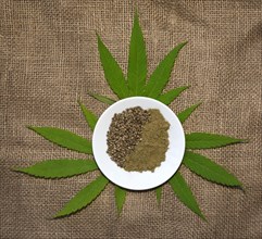 Hemp leaves (Cannabis) with hemp seeds and ground hempseed